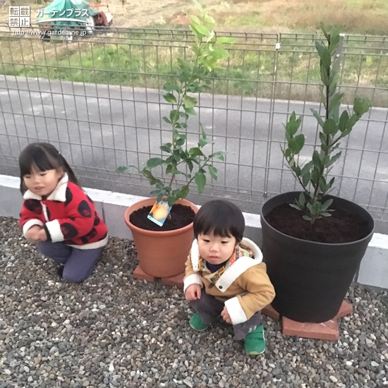 植樹後の記念写真①