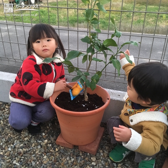 植樹後の記念写真②