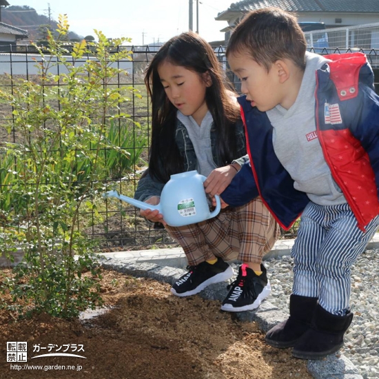 植樹の様子①