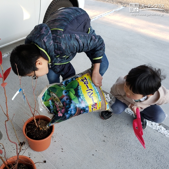 植樹の様子