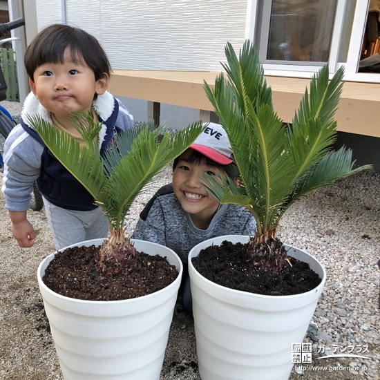 記念樹と記念撮影