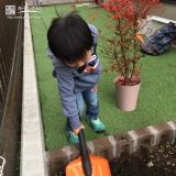 ナンテン植樹の様子