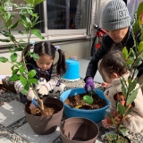 記念樹植樹の様子②