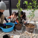 記念樹植樹の様子③