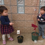 植樹後の記念写真