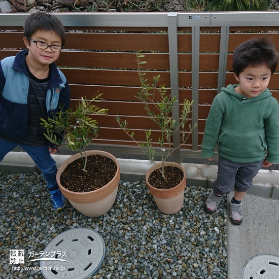 記念樹とのお写真②