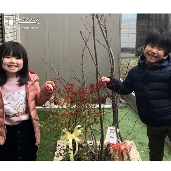 植樹後のお写真