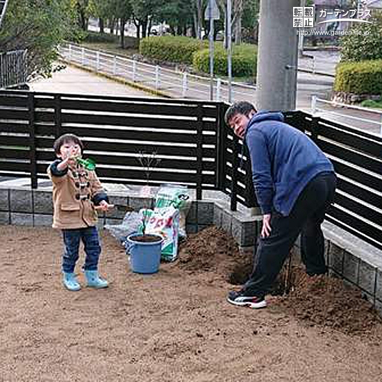 ハナミズキ植樹の様子①