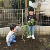 記念樹と記念撮影