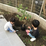 植樹の様子