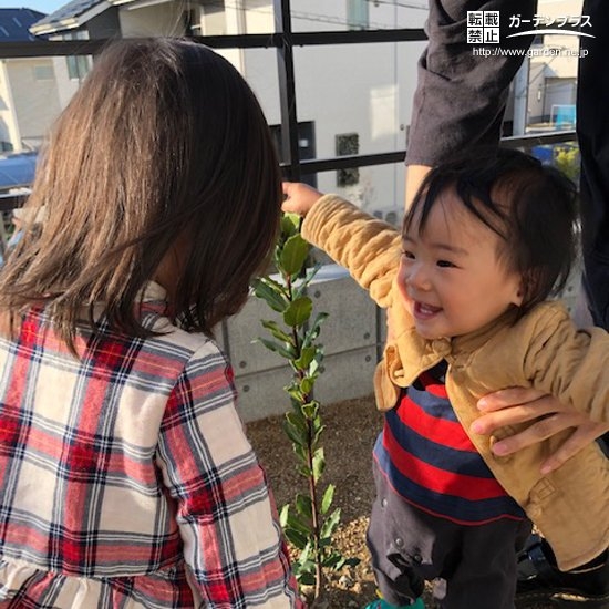 月桂樹と記念撮影