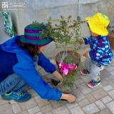 植樹の様子