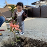 植樹の様子②