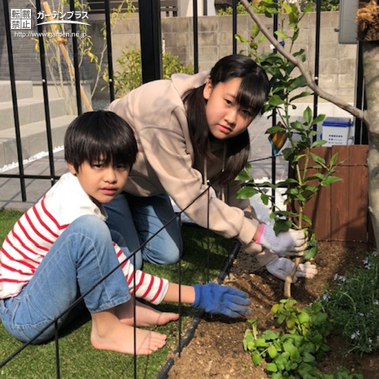 記念樹植樹の様子①