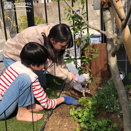 記念樹植樹の様子②