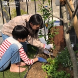 記念樹植樹の様子②