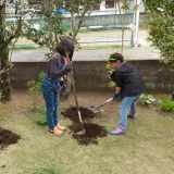 記念樹植樹の様子①