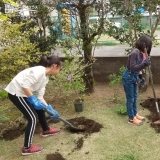 記念樹植樹の様子②