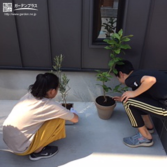植樹の様子②