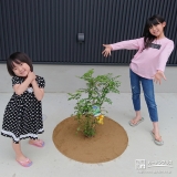 シマトネリコと記念撮影