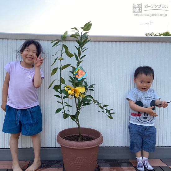 温州ミカンの木と記念撮影