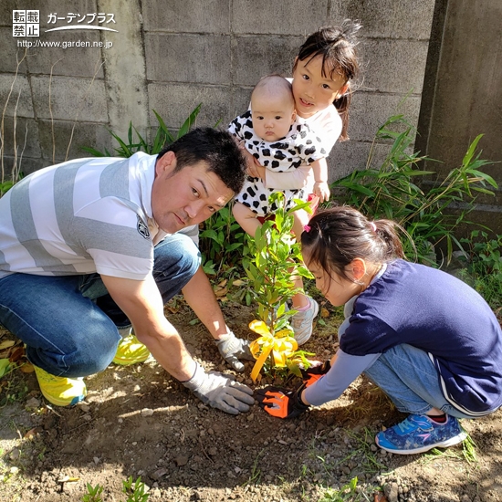 記念樹植樹の様子①