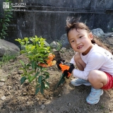 記念樹植樹の様子③