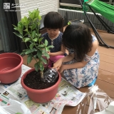 記念樹植樹の様子②