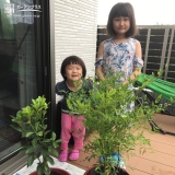 植樹後の記念写真