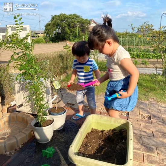 記念樹を植樹の様子①