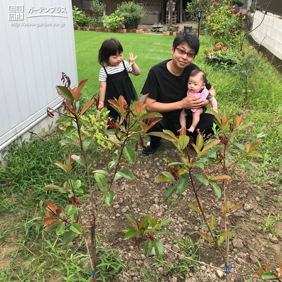 ブルーベリー植樹の様子②