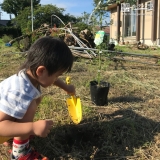 植樹の様子