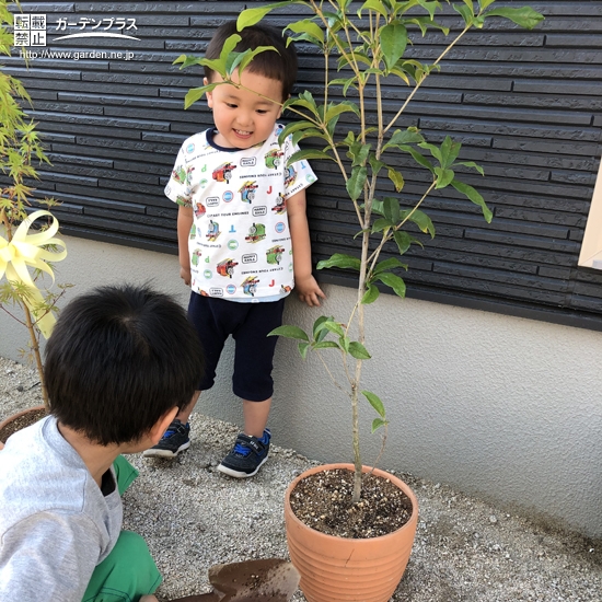 植樹後の記念写真③