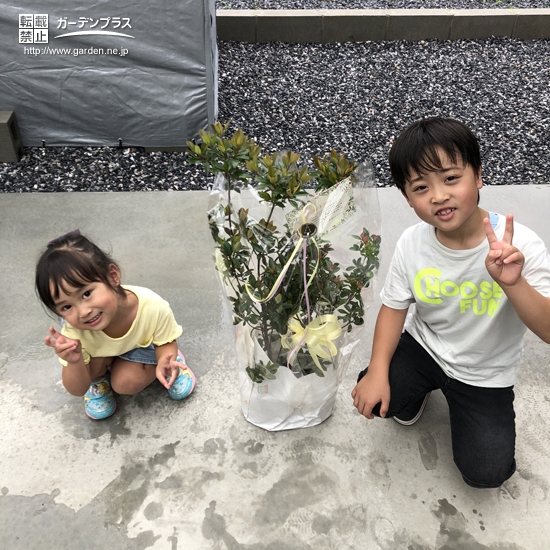 植樹前のお写真