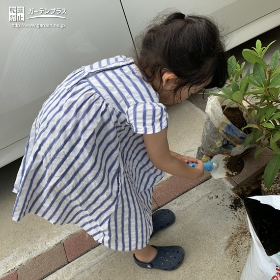植樹の様子②