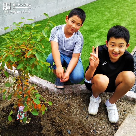 植樹後のお写真