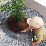 植樹の様子