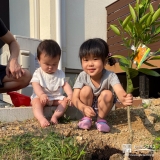 温州ミカンの木と記念撮影