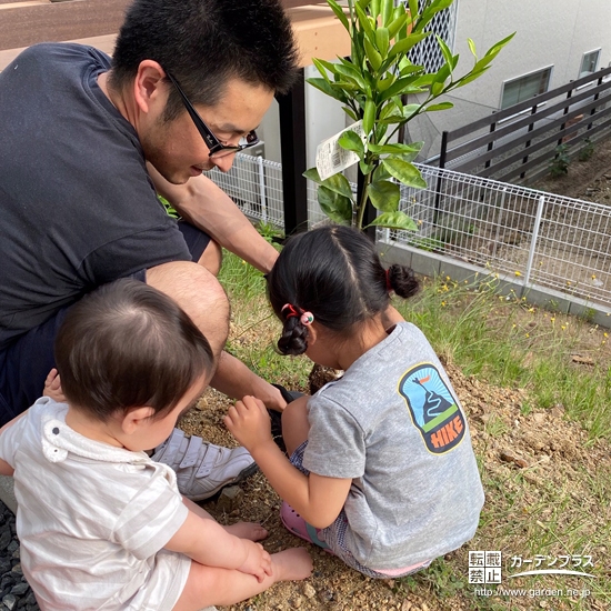 温州ミカンの木を植樹