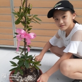 月桂樹（ローリエ）植樹の様子①