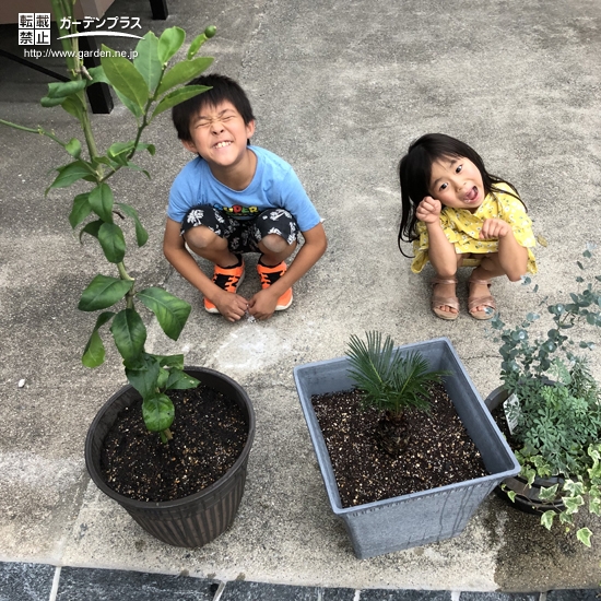 植樹後の記念写真