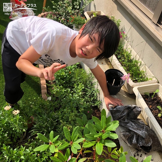 記念樹植樹の様子⑤