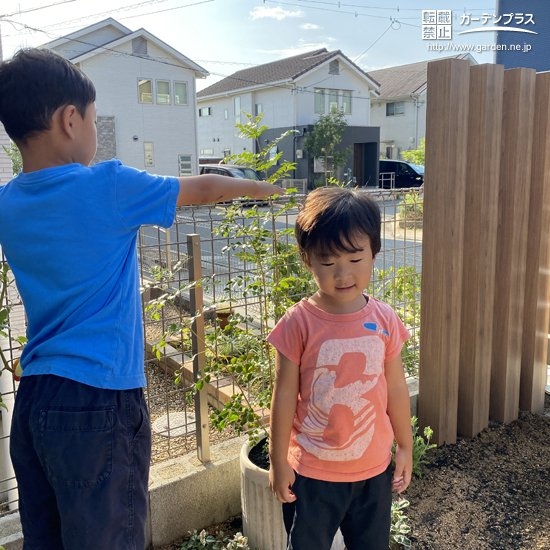 植樹したシマトネリコと記念撮影