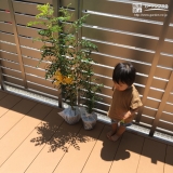 植樹前のお写真
