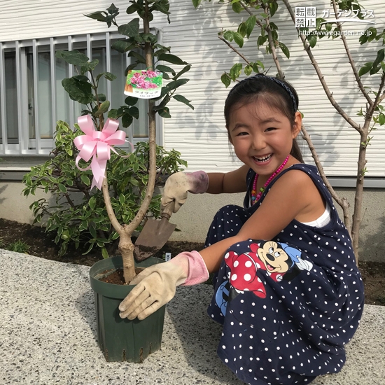 ライラック植樹の様子①