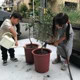 記念樹植樹の様子②