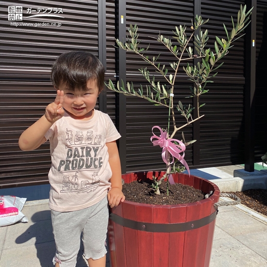 植樹後のオリーブとの記念写真①