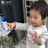 オリーブ植樹の様子②