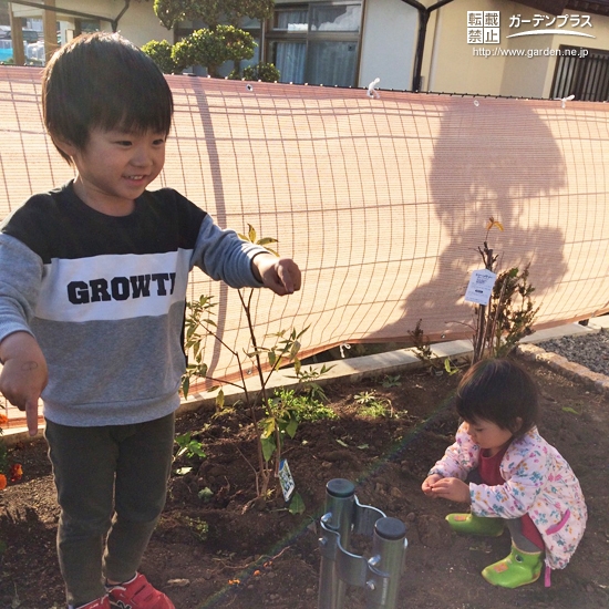 植樹の様子①