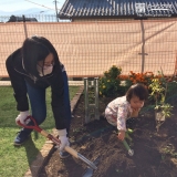 植樹の様子②